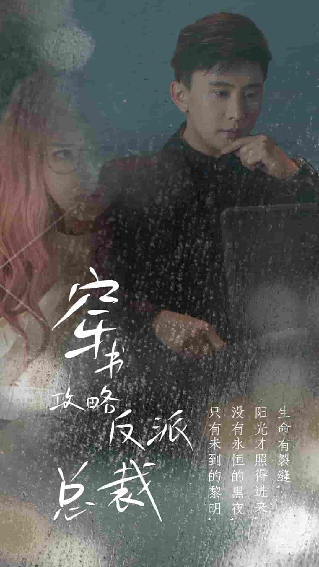 穿书攻略反派总裁海报